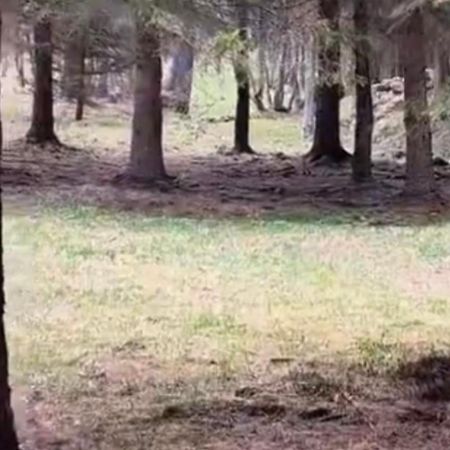 马库尼亚加Im Spiss公寓 外观 照片
